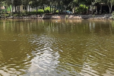 Hai nữ sinh lao xe máy xuống sông trên đường đến trường