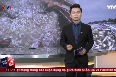 Mùa nước nổi - Mùa cá linh về tại ĐBSCL