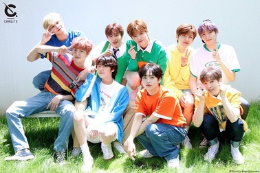 Một phụ nữ bị bắt vì sàm sỡ thành viên nhóm nhạc Cravity