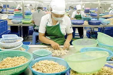 Cắt giảm lao động: Hợp lý, tránh vội vàng  