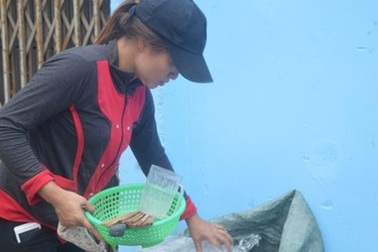 Chuyện đời “tỷ phú ve chai”