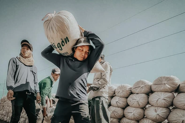 Những mảnh đời mưu sinh cơ cực qua góc nhìn bác sĩ miền Tây