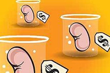 Những đường dây buôn bán nội tạng xuyên quốc gia