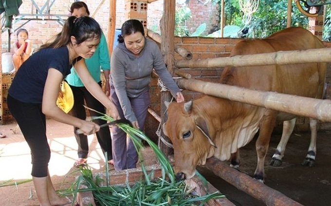 Kết nối doanh nghiệp về thôn, ấp để đẩy mạnh giải quyết việc làm ở Bình Phước