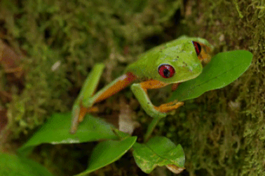 Thử sức với bài kiểm tra nhanh kiến thức khoa học tổng hợp (Kỳ 27)