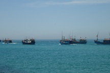 Cục Kiểm ngư lên tiếng về lệnh cấm đánh bắt cá của Trung Quốc