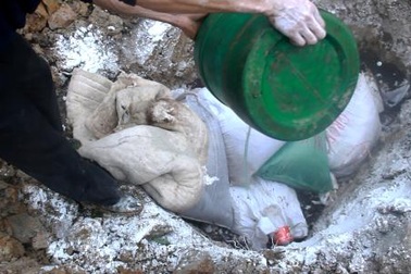 Trung Quốc giúp nuôi gián đất: Đừng bàn tới... bồi thường!