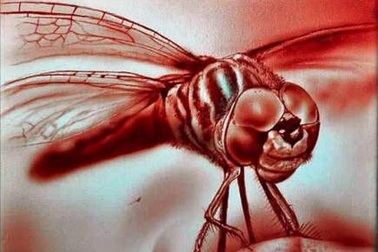 Họa sĩ chuyên dùng máu của mình để vẽ tranh 