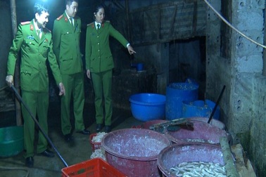 Phát hiện cơ sở chuyên chế biến lòng lợn không đảm bảo vệ sinh