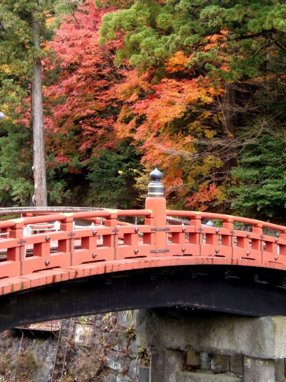 Những địa điểm ngắm lá đỏ mùa thu đẹp nhất Nhật Bản - 3
