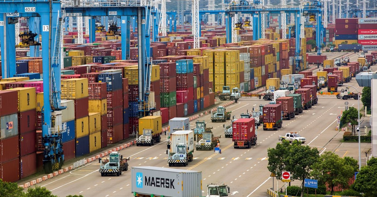 Vua tiêu suýt bị lừa 3 triệu USD và điểm giống vụ 100 container hạt điều - 3 Vua tiêu suýt bị lừa 3 triệu USD và điểm giống vụ 100 container hạt điều - 3