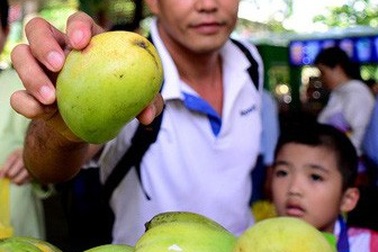 ​Lễ hội trái cây Nam Bộ 2018: Không thu phí trẻ em ngày 1/6