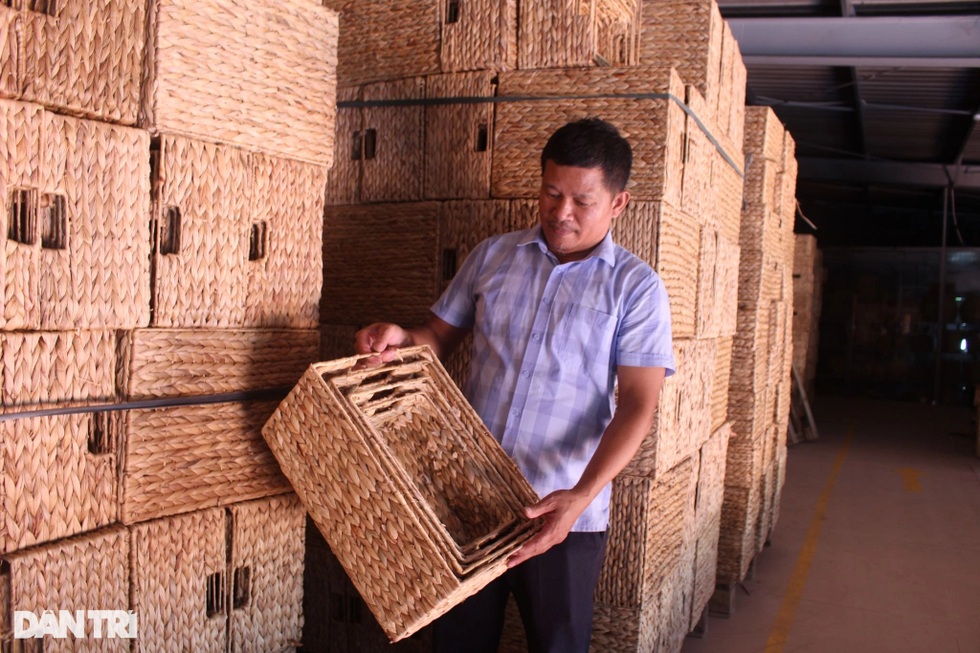 Giám đốc chân đất xách ba lô đi Mỹ, đưa quạt thằng Bờm ra thế giới - 5 Giám đốc chân đất xách ba lô đi Mỹ, đưa quạt thằng Bờm ra thế giới - 5