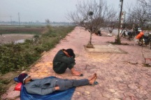 Đào, mai ế ẩm… quất “lên ngôi” ngày cận Tết