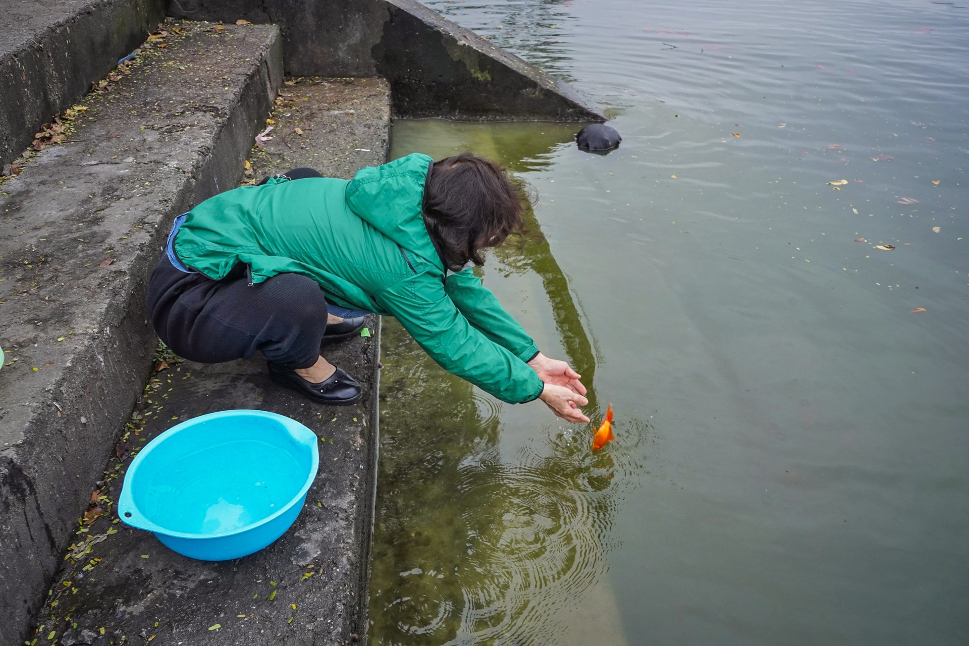 Hà Nội: Ngựa của ông Táo chưa kịp về trời đã ngửa bụng sau khi xuống nước - 12