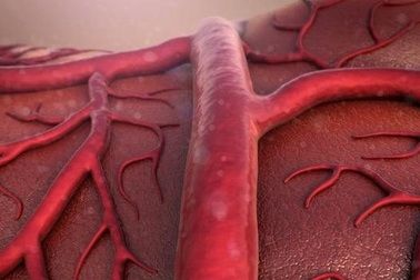 Trí tuệ nhân tạo có thể chẩn đoán chính xác nhiễm trùng huyết