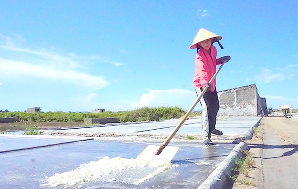 Muối trắng lấp lánh giữa nắng hè mà diêm dân tính ... bỏ nghề - 8 Muối trắng lấp lánh giữa nắng hè mà diêm dân tính ... bỏ nghề - 8