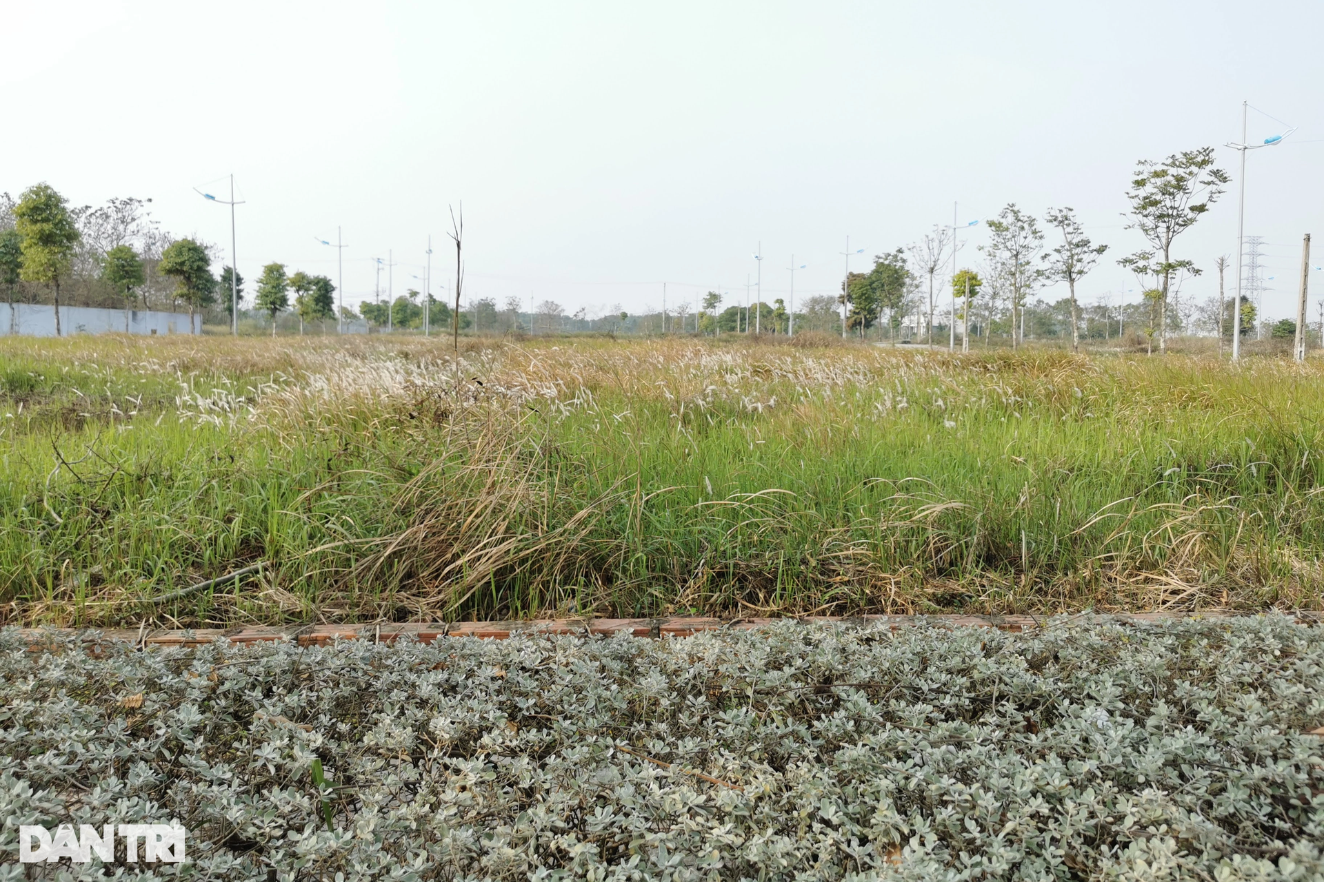 Dự án The Diamond Park Mê Linh bất động sau nhiều năm được thanh tra - 7 Dự án The Diamond Park Mê Linh bất động sau nhiều năm được thanh tra - 7