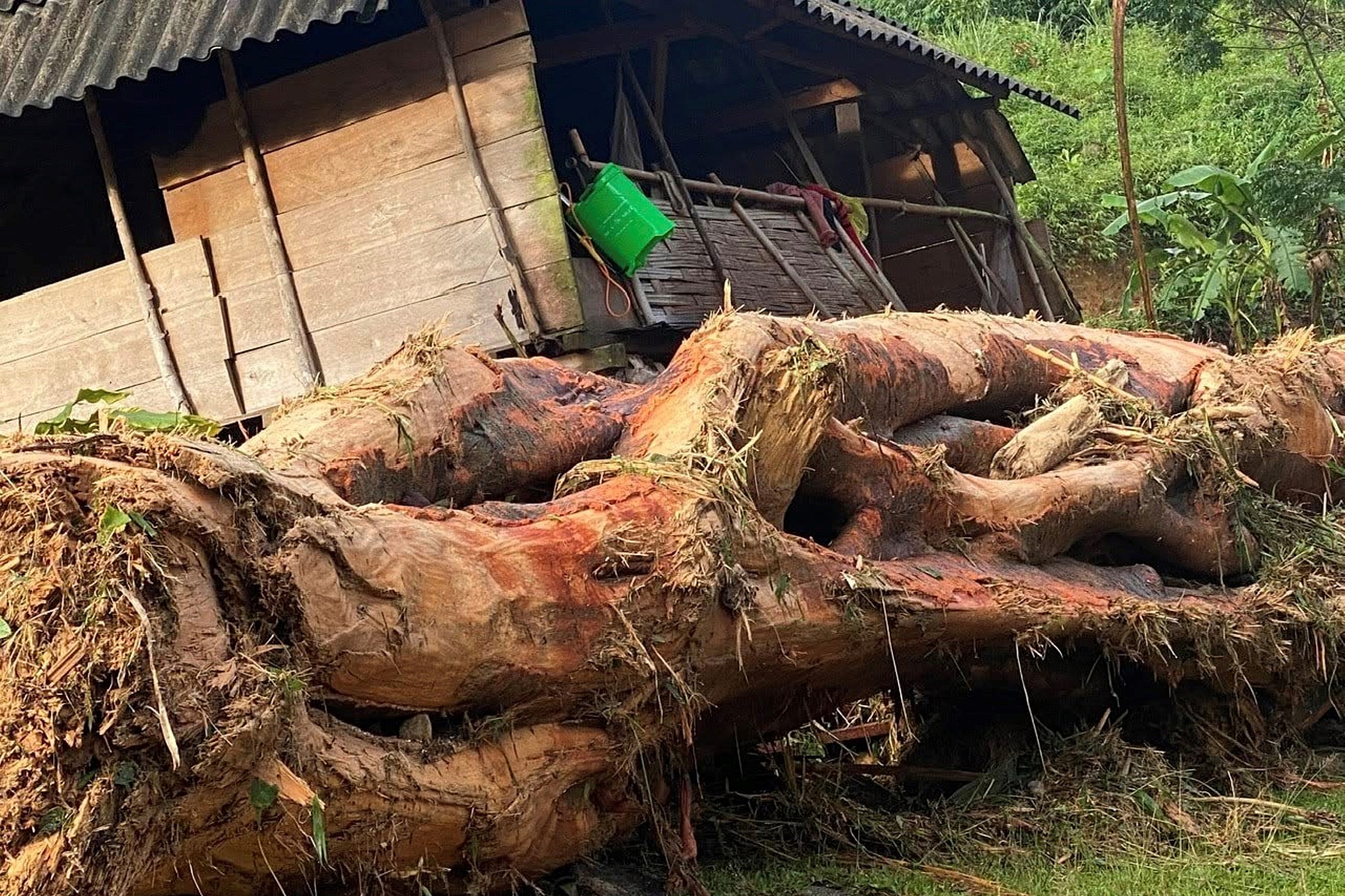 Cảnh tan hoang sau trận lũ quét kinh hoàng ở bản biên giới Nghệ An - 3
