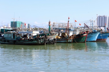 19 tàu cá bị đưa vào diện "mất tích"