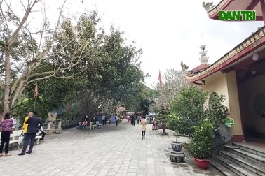 Mùng 1 Tết: “Lên rừng” cầu lộc, cầu tài