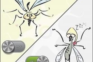 Tại sao thức quá muộn gây ra chứng buồn ngủ kinh niên?