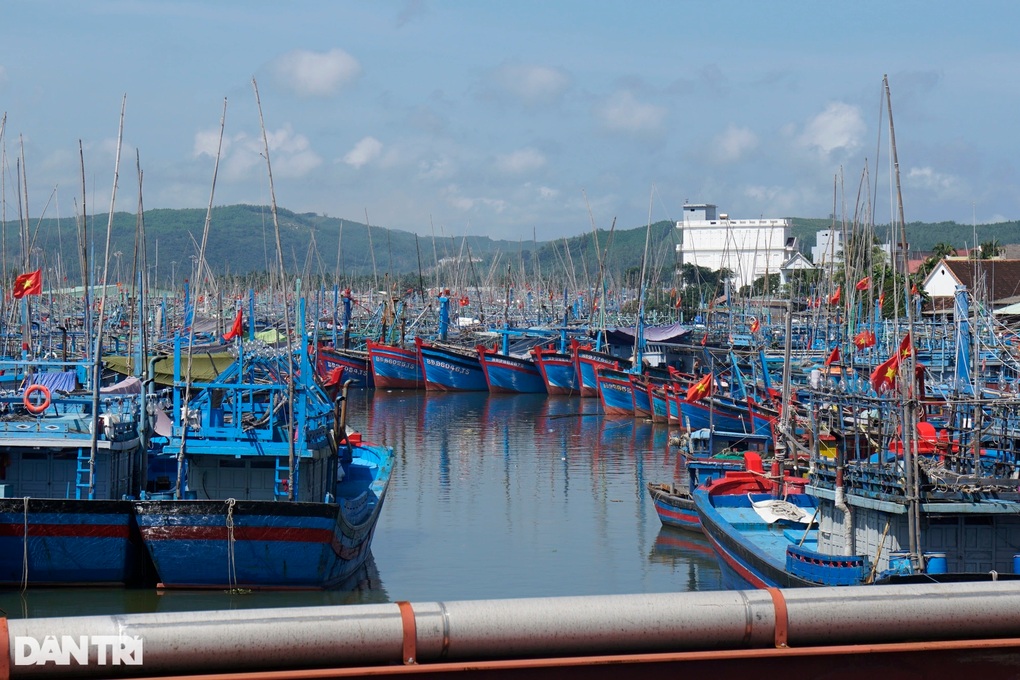 Bình Định siết chặt phòng, chống tàu cá vi phạm IUU trước thềm Đoàn Thanh tra EU