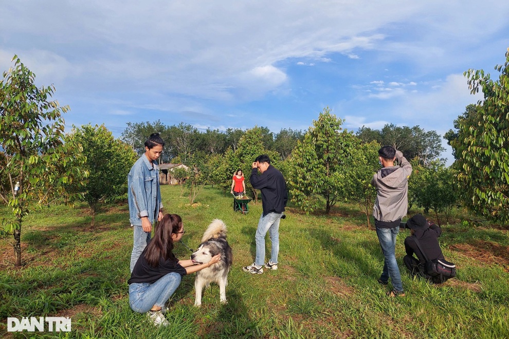 Chàng cử nhân kinh tế bỏ phố về làng trồng quýt, làm farm du lịch - 5 Chàng cử nhân kinh tế bỏ phố về làng trồng quýt, làm farm du lịch - 5