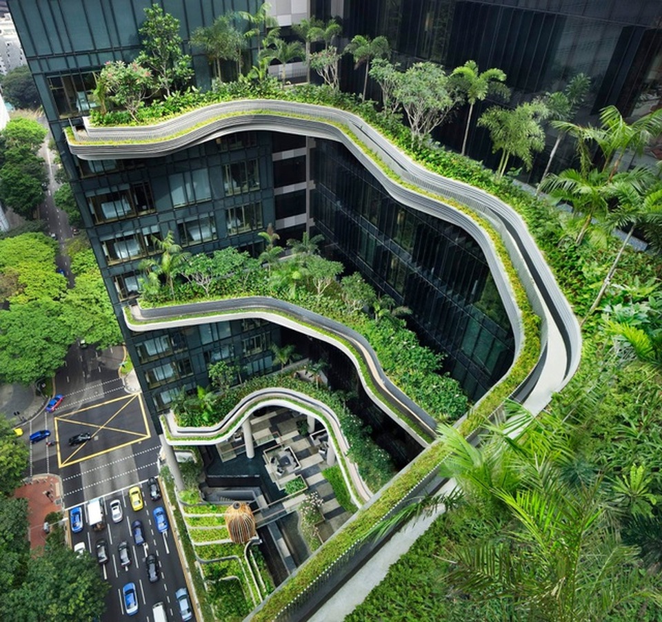 Đô thị xanh: Việt Nam có thể học được gì từ Nhật Bản và Singapore? - 2 Đô thị xanh: Việt Nam có thể học được gì từ Nhật Bản và Singapore? - 2