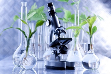 Công trình nghiên cứu của giảng viên Việt nhận bằng sáng chế của Mỹ