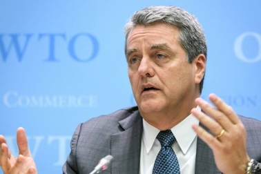 Tổng giám đốc WTO đột ngột từ chức