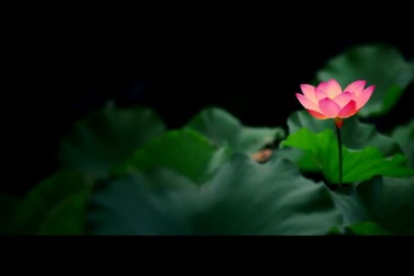 Việt Nam - điểm đến giá rẻ 2017