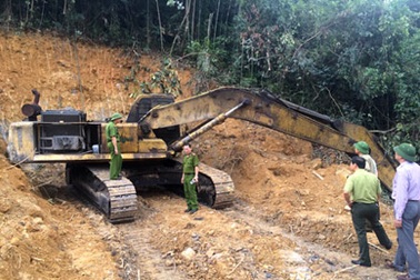 Than tặc phá rừng phòng hộ, Chủ tịch xã bị đình chỉ công tác