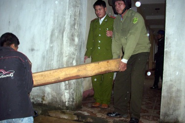 Lâm tặc lại đánh gục kiểm lâm để tẩu tán gỗ lậu