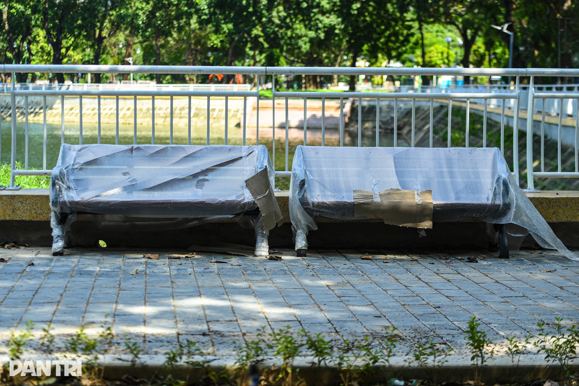 Độc đáo cầu đi bộ hình cây đàn khổng lồ trong công viên ở Hà Nội - 15