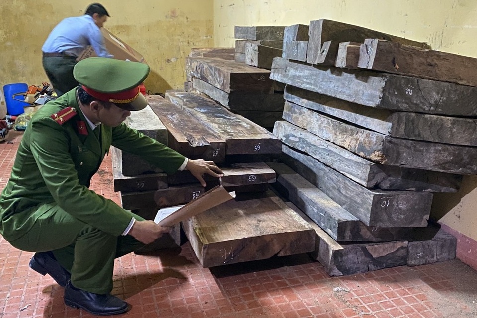 77 hộp gỗ quý được cất giấu trái phép - 1 77 hộp gỗ quý được cất giấu trái phép - 1