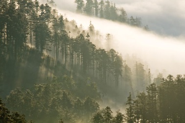 Sa mu - vẻ đẹp ngút ngàn