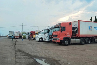 Xử lý tình trạng ùn ứ xe container chở sầu riêng ở Đồng Nai