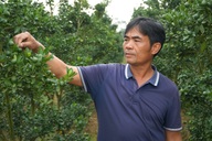 Từ câu nói đùa đến quyết định "điên rồ", người đàn ông thành triệu phú