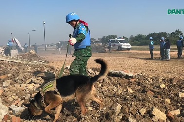 Diễn tập tình huống tích hợp trên thực địa về gìn giữ hòa bình