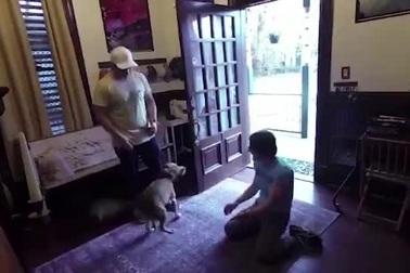 Ấm áp khoảnh khắc cún cưng đón nữ phi hành gia trở về sau 328 ngày xa cách