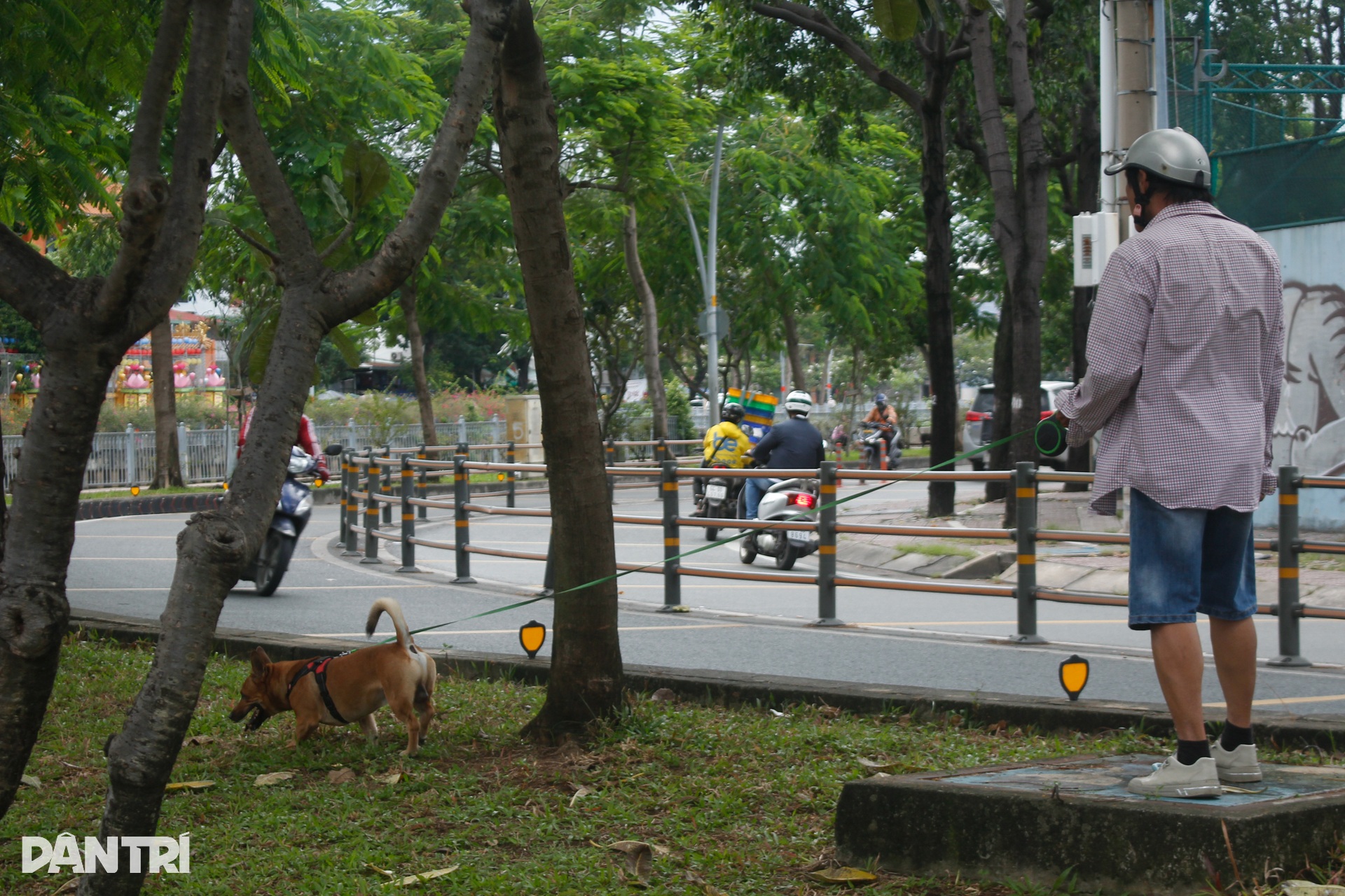 Nỗi ám ảnh từ chó không rọ mõm, phóng uế bừa bãi ở TPHCM - 12