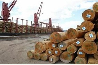 Hiệp hội Gỗ phản ứng gay gắt về cáo buộc nhập lậu gỗ từ Campuchia của EIA
