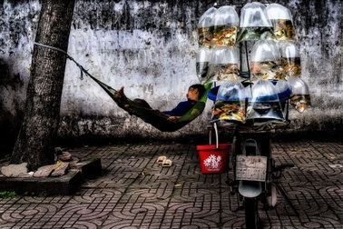 Nghệ sĩ nhiếp ảnh Việt Nam giành 2 huy chương cuộc thi ảnh quốc tế