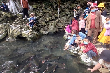 Hàng nghìn người chen chúc xem "cá thần" ngày đầu năm mới