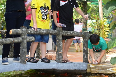 Lần đầu tiên đưa cá “khủng” vào khai thác du lịch