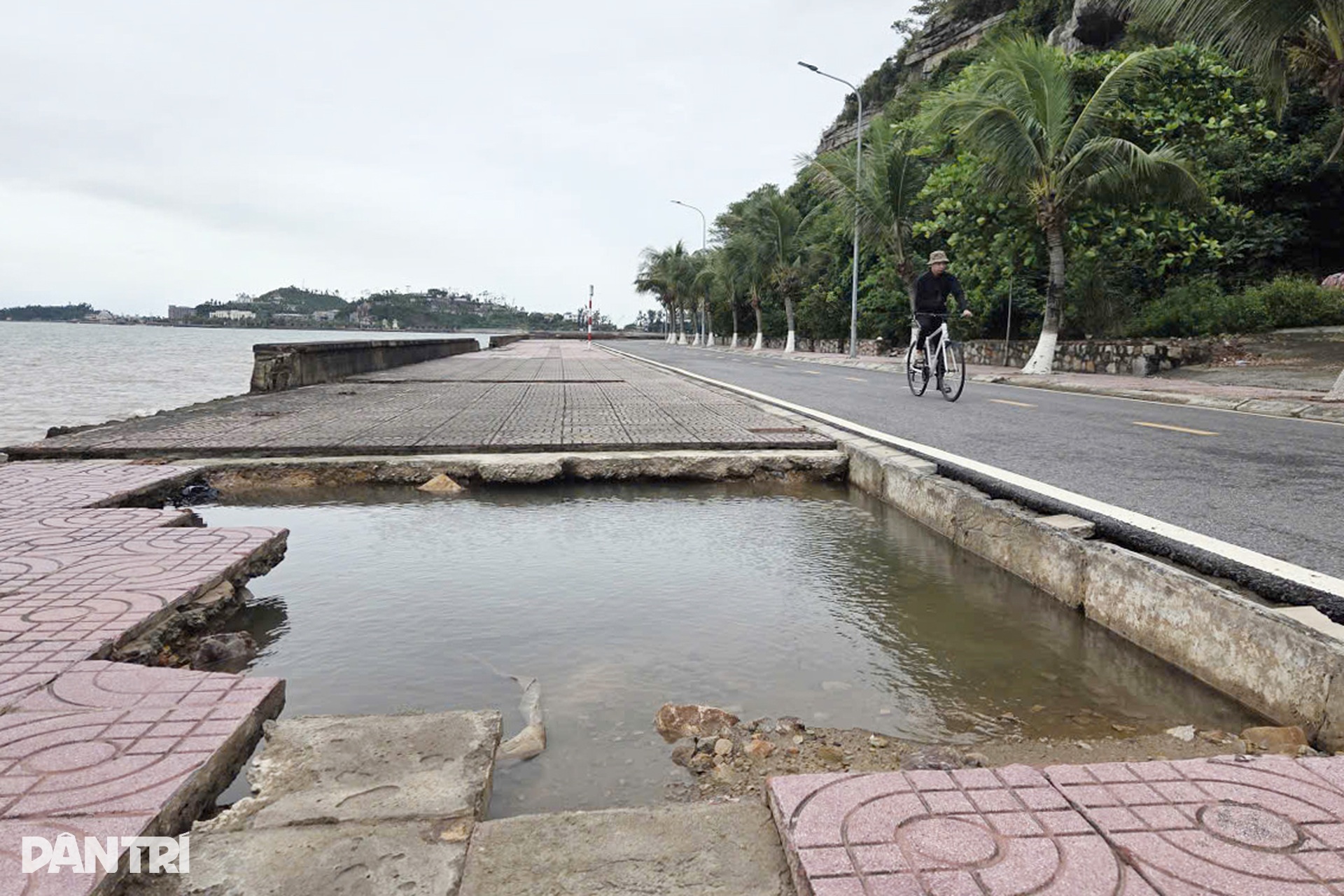 Bờ kè ở Đồ Sơn - Hải Phòng sụt lún sau bão - 12 Bờ kè ở Đồ Sơn - Hải Phòng sụt lún sau bão - 12