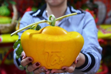 Nhiều loại dưa, bưởi “độc” lần đầu xuất hiện trên thị trường Tết