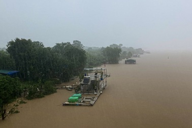 Nước sông Hồng lên cao, cô lập bãi giữa, ngập trắng hoa màu