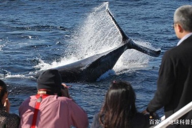 5 nghề lạ 99% bạn mới nghe lần đầu, nghề nào lương cũng cao khó tin